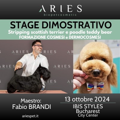 Stage Dimostrativo di Stripping Scottish Terrier e Poodle Teddy Bear