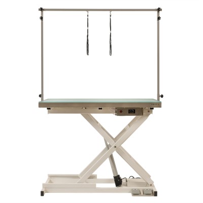 Illuminated electric grooming table 120x60