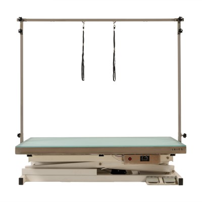 Illuminated electric grooming table 120x60