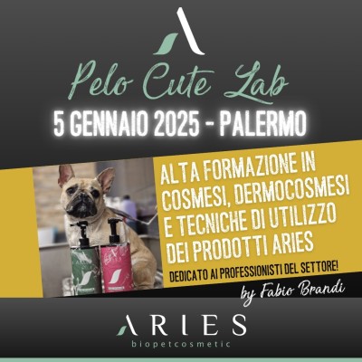 Pelo Cute Lab - 1st Stage Palermo ~ 5th January 2025