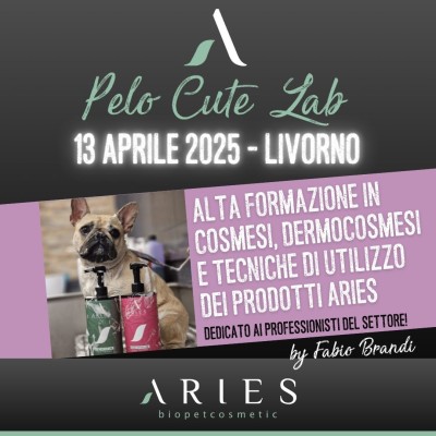 Pelo Cute Lab - 4th Stage Livorno ~ 13th April 2025