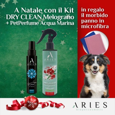 Kit Dry Clean Melograno + Acqua Marina 100 ml + Panno in Microfibra